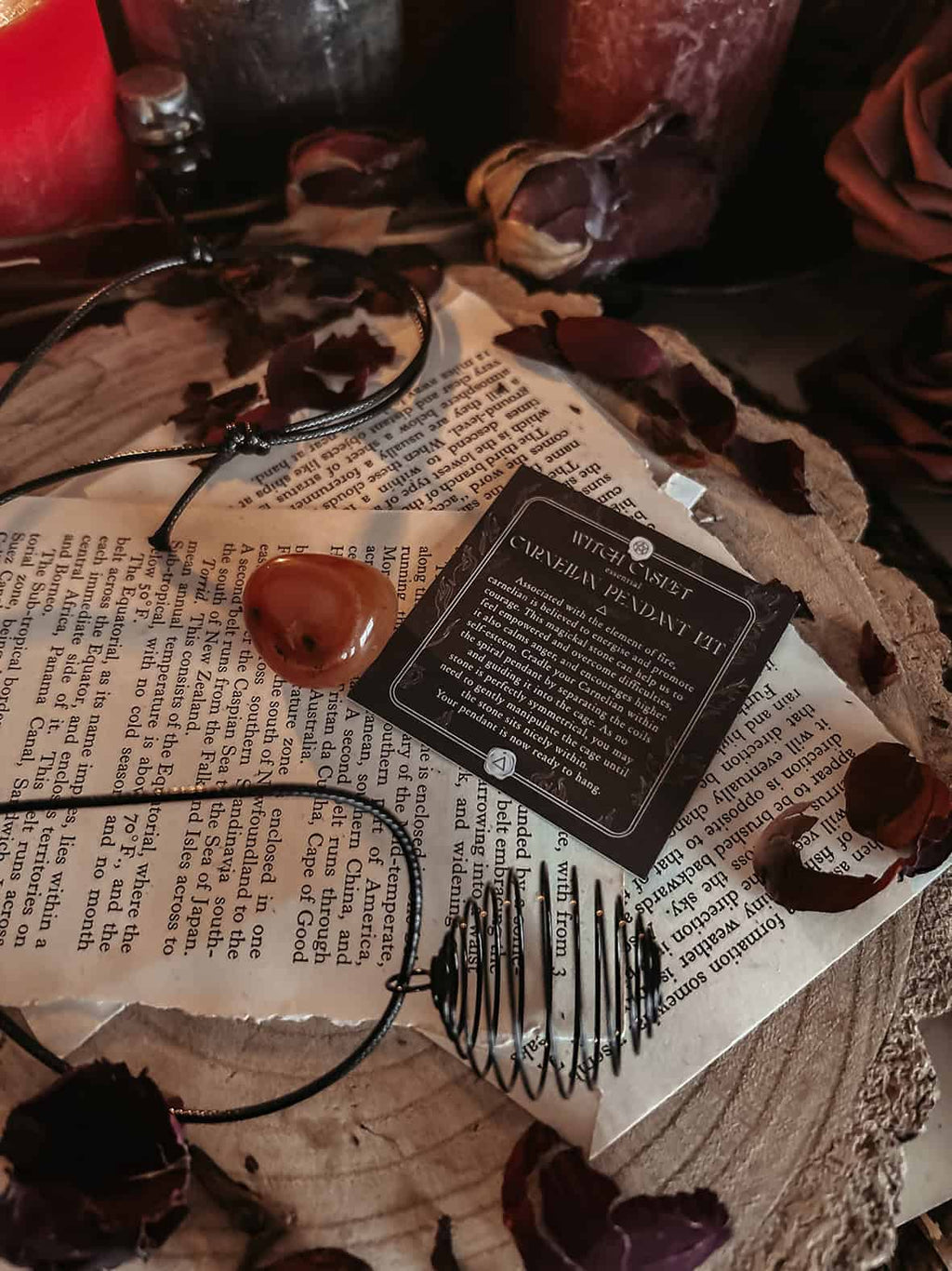 November 2025 Witch Casket