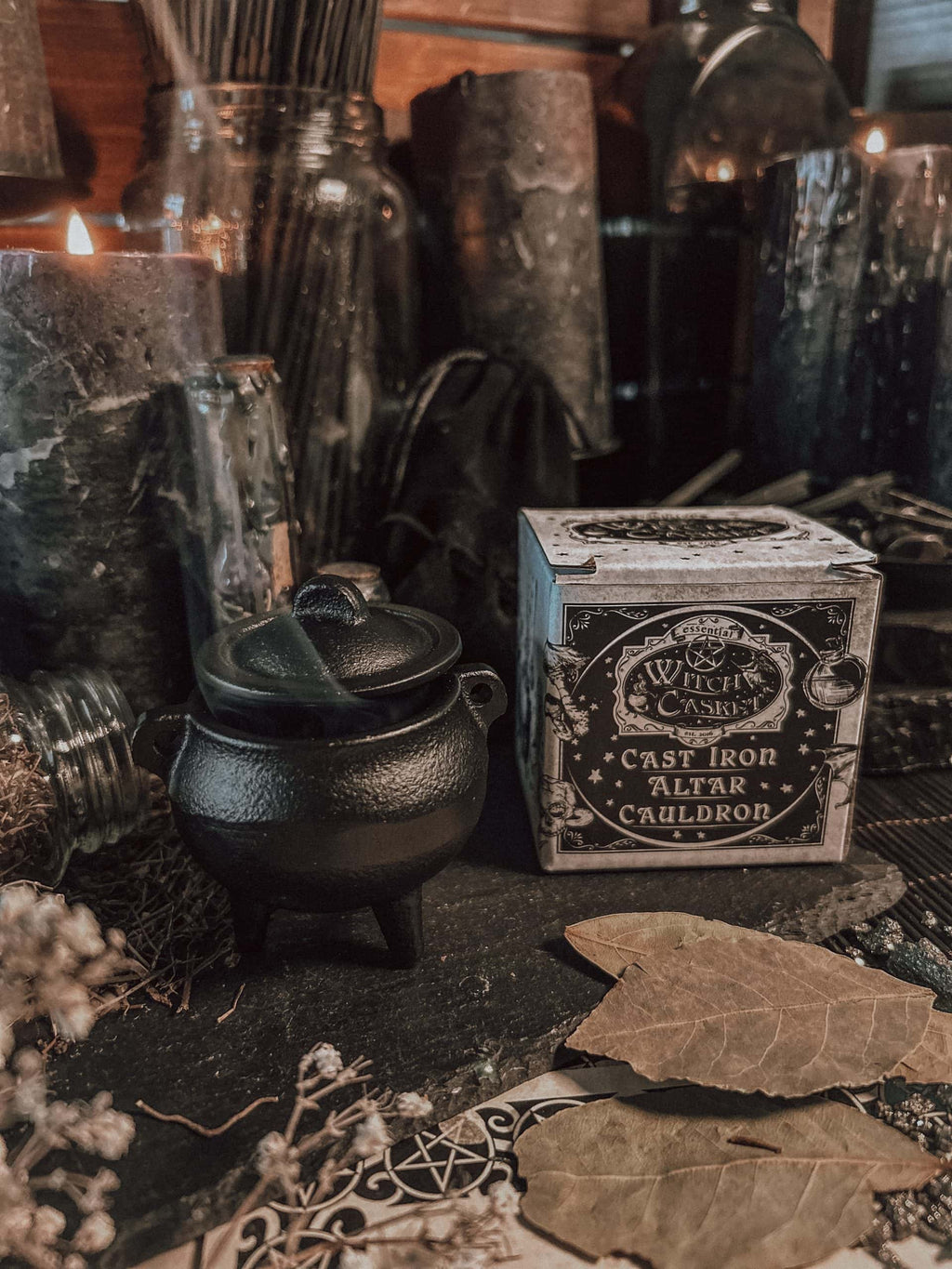 February 2026 Witch Casket