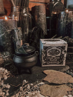 February 2026 Witch Casket