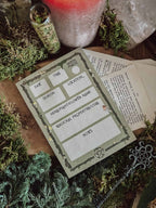 February 2025 Witch Casket