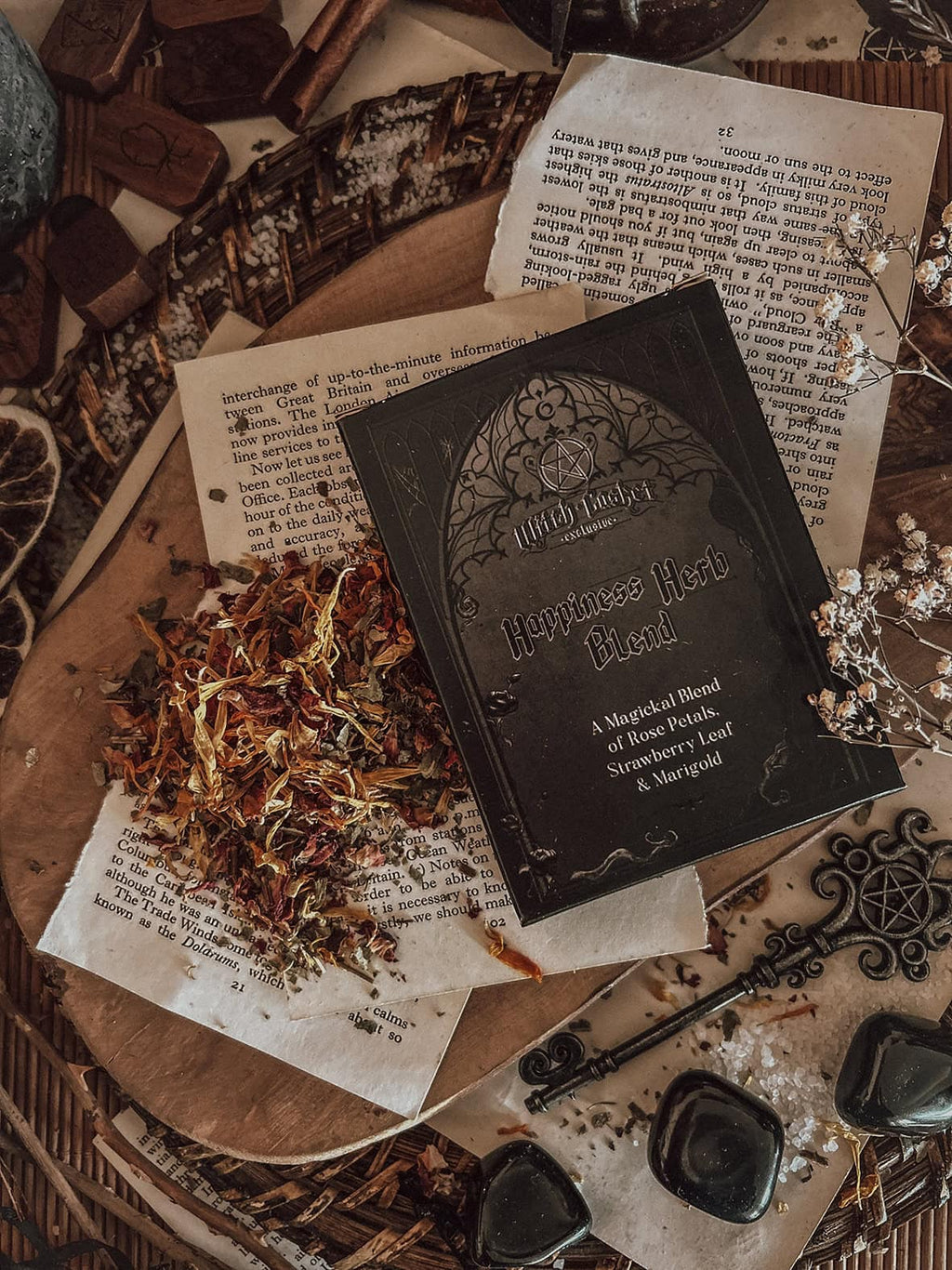 October 2025 Witch Casket