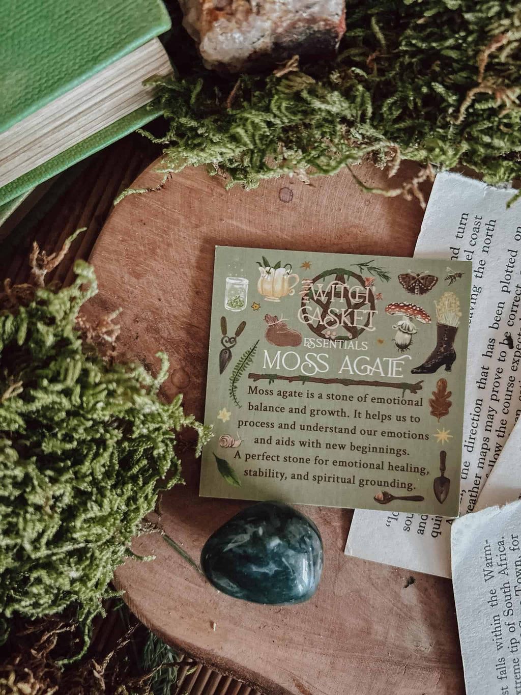 February 2025 Witch Casket