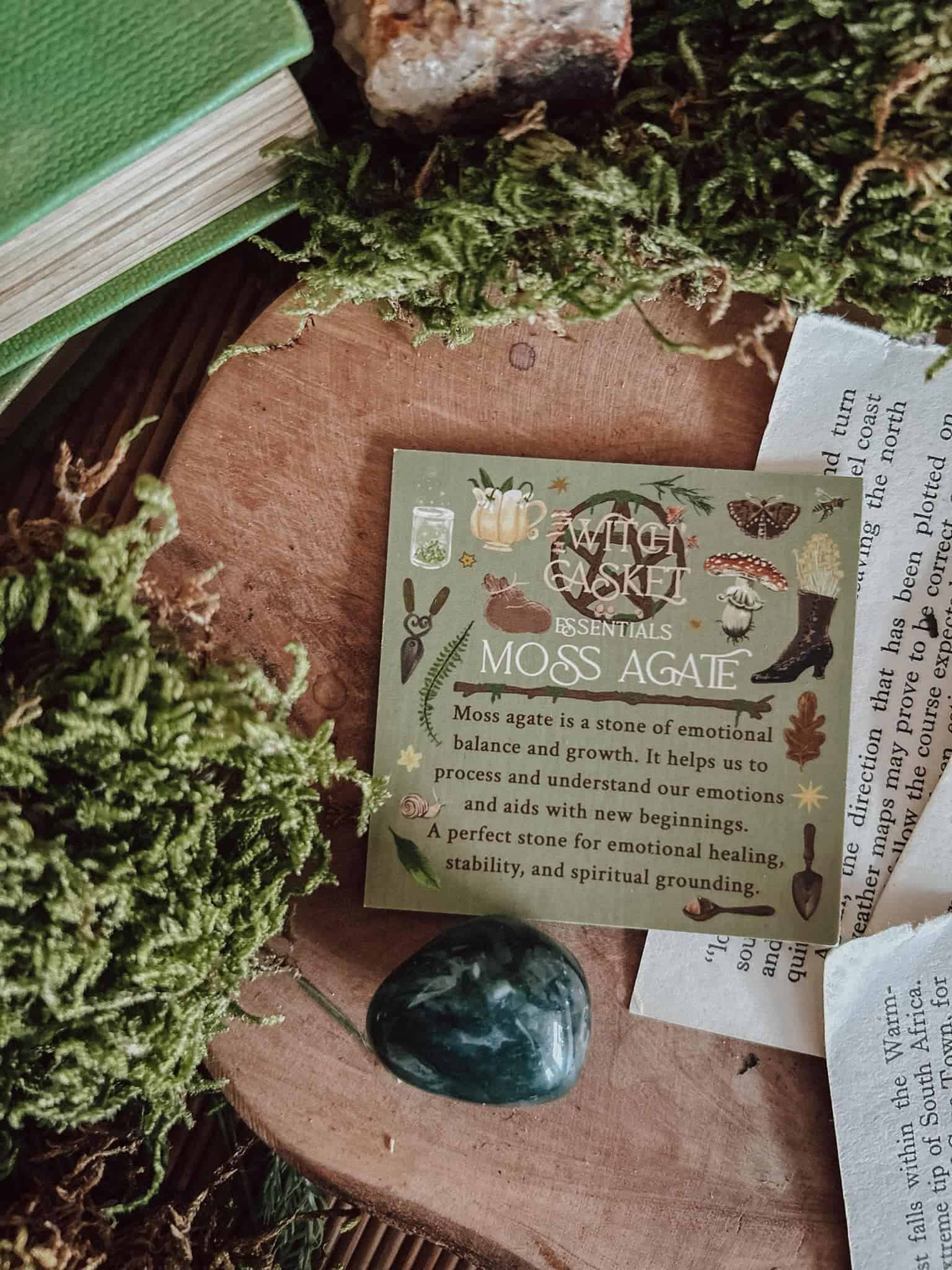 February 2025 Witch Casket