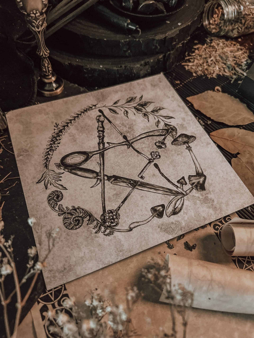 February 2026 Witch Casket