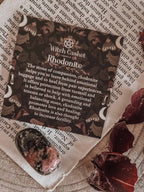 July 2025 Witch Casket